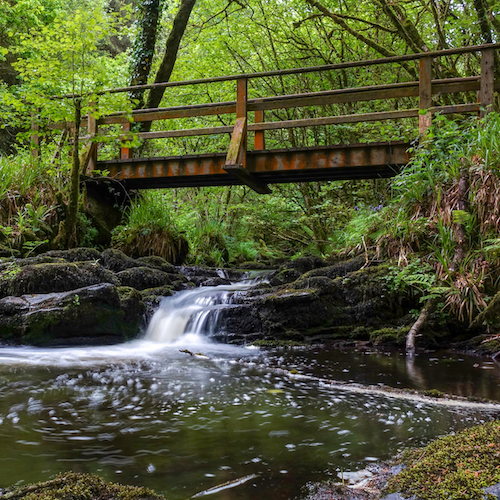 The cannon sheehan loop walk in north cork