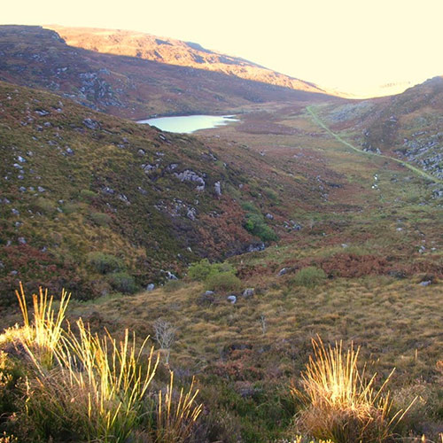 Walks the Duhallow way