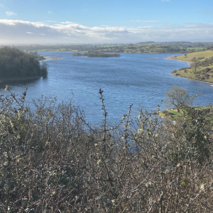 Lough Gur