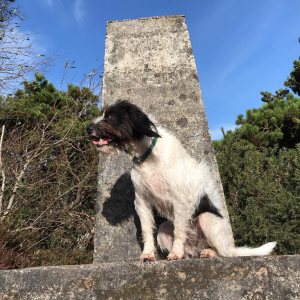 Summit of Mount Hillary