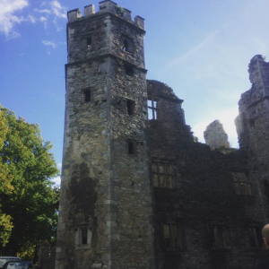 Mallow Castle