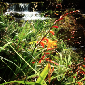 Donoure Falls, Kilcorney, near Mount Hillary Glamping Site in Cork